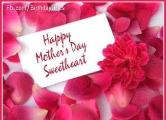 Birthday Quotes : videoswatsapp.com Photo Happy Birthday Wishes Happy Birthday Quotes Happy Birthd…