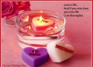 Birthday Quotes : videoswatsapp.com Photo Happy Birthday Wishes Happy Birthday Quotes Happy Birthd…