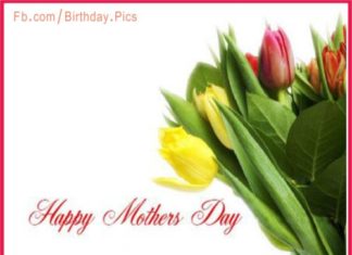 Birthday Quotes : videoswatsapp.com Photo Happy Birthday Wishes Happy Birthday Quotes Happy Birthd…