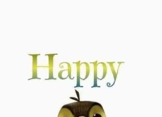 Happy Birthday Wiches : Happy Birthday to You!