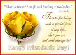 Birthday Quotes : videoswatsapp.com Photo Happy Birthday Wishes Happy Birthday Quotes Happy Birthd…