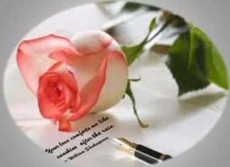 Birthday Quotes : videoswatsapp.com quotes birthday – Happy Birthday Wishes Happy Birthday Quotes …