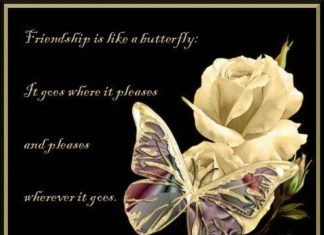 Birthday Quotes : videoswatsapp.com quotes birthday – Happy Birthday Wishes Happy Birthday Quotes …