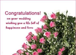 Birthday Quotes : videoswatsapp.com quotes birthday – Happy Birthday Wishes Happy Birthday Quotes …