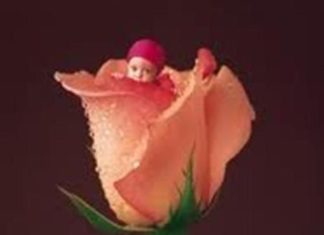 Birthday Quotes : videoswatsapp.com quotes birthday – Happy Birthday Wishes Happy Birthday Quotes …