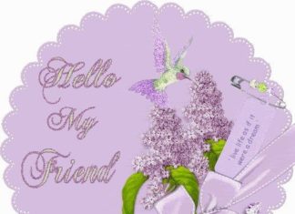 Birthday Quotes : videoswatsapp.com quotes birthday – Happy Birthday Wishes Happy Birthday Quotes …