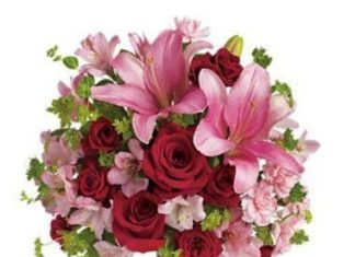 Birthday Quotes : videoswatsapp.com quotes birthday – Happy Birthday Wishes Happy Birthday Quotes …