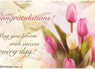 Birthday Quotes : videoswatsapp.com quotes birthday – Happy Birthday Wishes Happy Birthday Quotes …