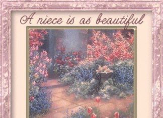 Birthday Quotes : videoswatsapp.com quotes birthday – Happy Birthday Wishes Happy Birthday Quotes …