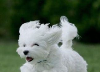 Happy Birthday Wiches : Happy Birthday