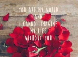 Birthday Quotes : videoswatsapp.com Quotes Birthday- Birthday Quotes Birthday Saying Quotes for Bi…