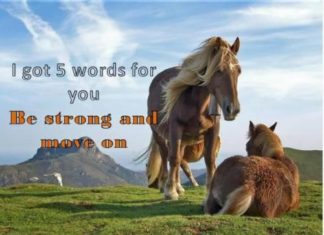 Birthday Quotes : videoswatsapp.com Quotes Birthday- Birthday Quotes Birthday Saying Quotes for Bi…