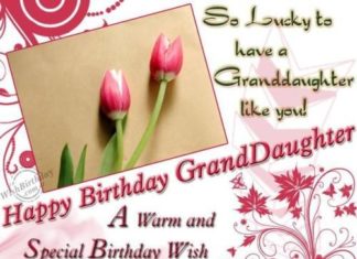 Birthday Quotes : videoswatsapp.com quotes birthday – Happy Birthday Wishes Happy Birthday Quotes …