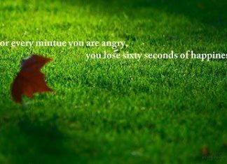 Birthday Quotes : videoswatsapp.com quotes birthday – Happy Birthday Wishes Happy Birthday Quotes …