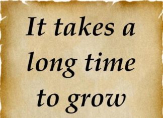 Happy Birthday Wiches : birthday quotes !!