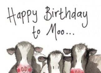 Happy Birthday Wiches : Cows Birthday Card