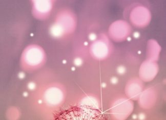 Birthday Decoration : Make a wish… I wish health, happiness, peace, love, light* from myself, my fam…