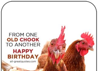 Happy Birthday Wiches : From One Old Chook To Another – Happy Birthday | all-greatquotes.com #HappyBirth…
