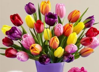 Happy Birthday Wiches : “Happy Birthday” bouquet