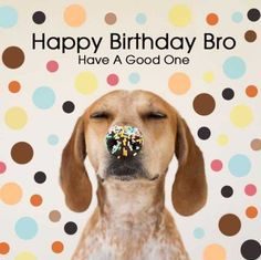 Happy Birthday Brother : Happy birthday brother from sister images