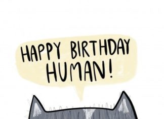 Happy Birthday Wiches : Happy Birthday Human – Birthday Card. And if your paws aren't made for writi…