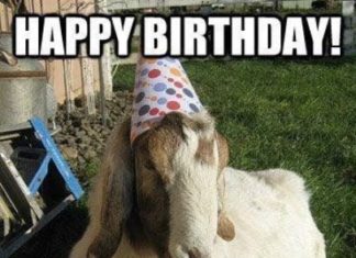 Happy Birthday Wiches : happy birthday old boy quotes. Oh yeah! You’re getting closer to the age when …