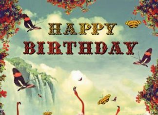 Happy Birthday Wiches : max hern designs …