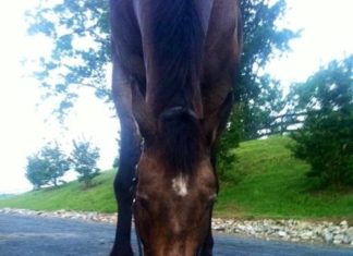 Happy Birthday Wiches : yay! happy birthday!