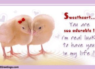 Birthday Quotes : videoswatsapp.com quotes birthday – Happy Birthday Wishes Happy Birthday Quotes …