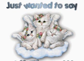 Birthday Quotes : videoswatsapp.com quotes birthday – Happy Birthday Wishes Happy Birthday Quotes …