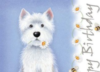 Birthday Inspiration: Happy Birthday