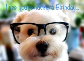 Birthday Inspiration: Happy Birthday