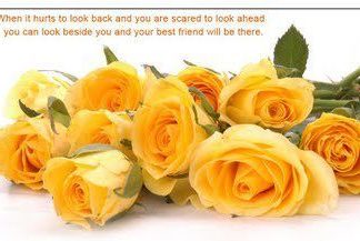 Birthday Quotes : videoswatsapp.com quotes birthday – Happy Birthday Wishes Happy Birthday Quotes …