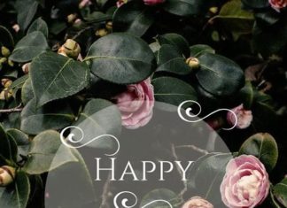 Happy Birthday Wiches : Happy birthday