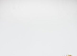 Birthday Party Inspiration : Skip the traditional goodie bags for your child's next birthday party — we…