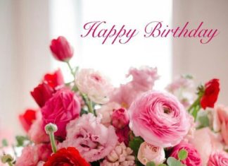 Happy Birthday Wiches : Happy Birthday