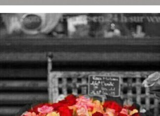 Happy Birthday Wiches : Verjaardag