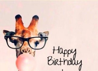 Birthday Inspiration: Happy Birthday