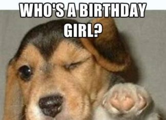 Happy Birthday Wiches : Top 36 Funny Happy Birthday Quotes #funny #happy birthday
