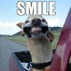 Happy Birthday Wiches : 25 Happy Birthday Wishes #Birthday Quotes #Happy