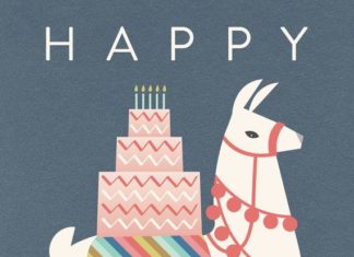 Happy Birthday Wiches : Le Lama adorable a parcouru un long chemin pour lanniversaire de quelquun… et …