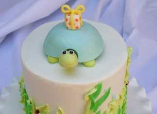 Birthday Cake : Sweet Turtle Topper- A Blog Tutorial!