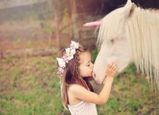 Birthday Decoration : 2015/08/26 Unicorn