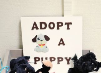 Birthday Decoration Ideas : Absolutely LOVE this idea to “Adopt a Puppy” at the end of a birthday party inst…