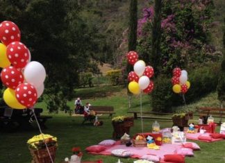 Birthday Decoration Ideas : party picnics!