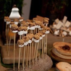 Birthday Decoration Ideas : smores on a stick. Had these at a birthday party and they were so much fun and n…