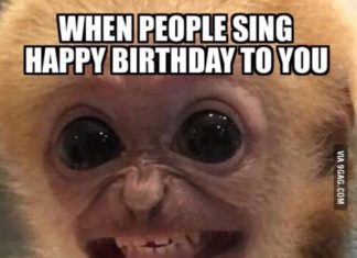 Birthday Decoration : Once someone told me ,,Happy birthday”, and because i was super tired i replied …