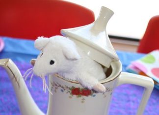 Birthday Decoration : Photo 5 of 40: Alice in Wonderland, Mad Tea Party / Birthday “Down the Rabbit Ho…