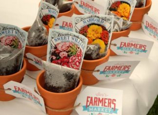 Birthday Decoration : Project Nursery – Terra Cotta Pots with Soil and Seeds for Farmers Market Party …