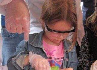 Birthday Decoration : Science experiment for Powerpuff Girl party